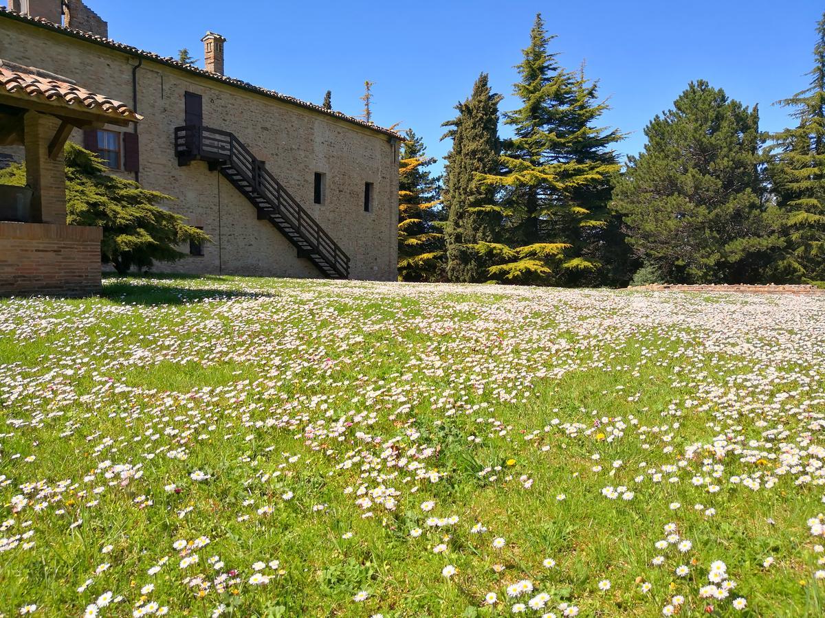 Convento Di San Francesco Mondaino Bed and Breakfast Eksteriør billede